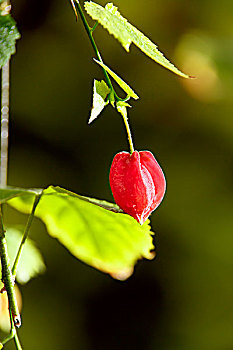 dự đoán lô đề miền bắc hôm nay