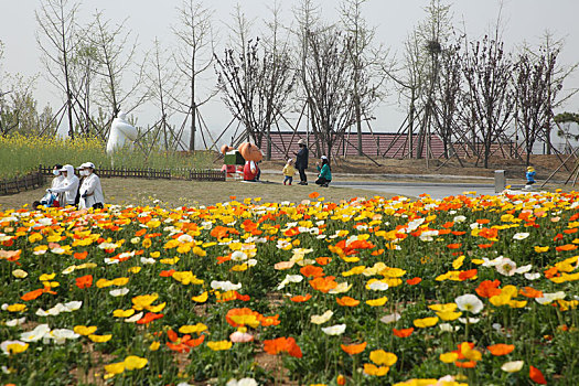 cach tinh lo xien