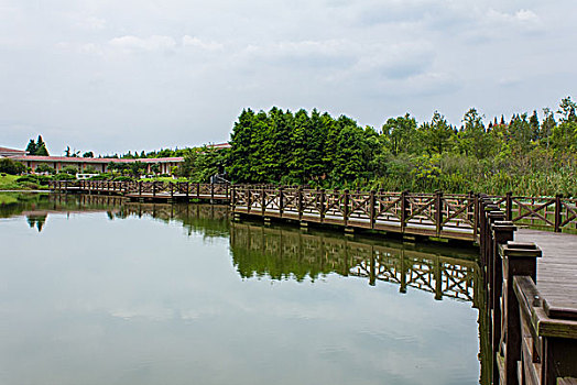 soi cau xo so da nang