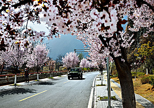 bach thu kep hom nay