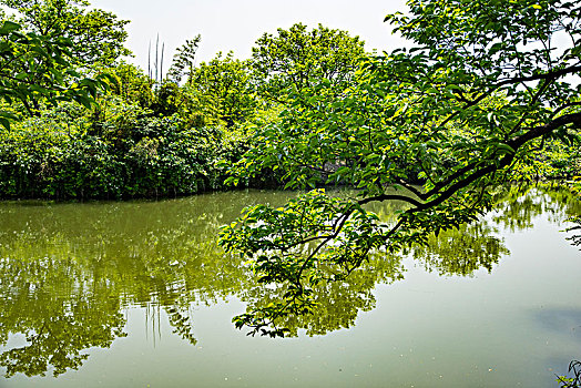 dự đoán lô miền bắc miễn phí
