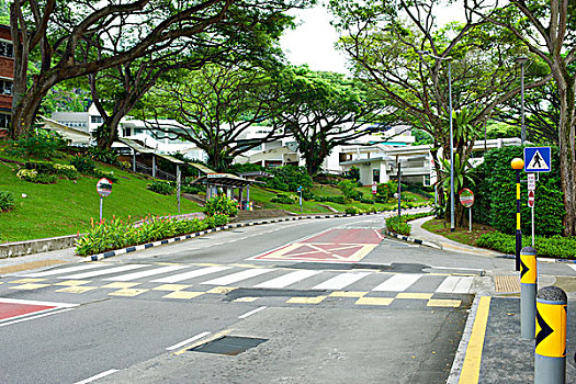 bạch thủ lô chuẩn