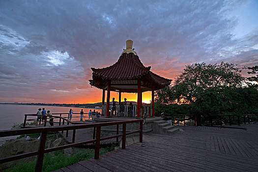 soicau rongbachkim