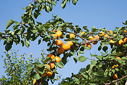 soi cầu lô đề mb