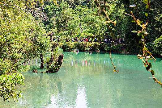 soi cau thuan vu 286