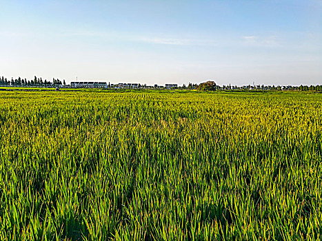 xổ số miền nam thứ tư hàng tuần