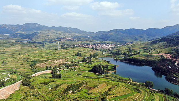 lo bach thu khung 3 ngay mien phi