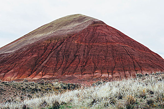 xs ca mau