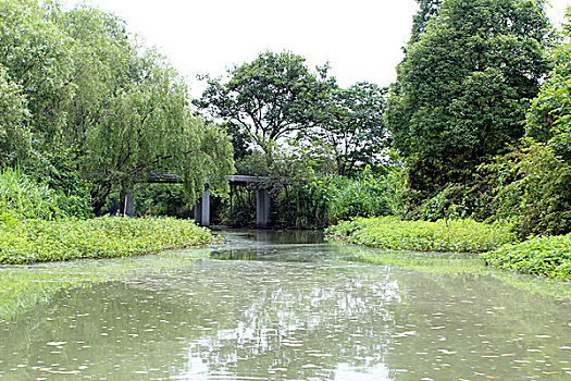 dự đoán đề hôm nay